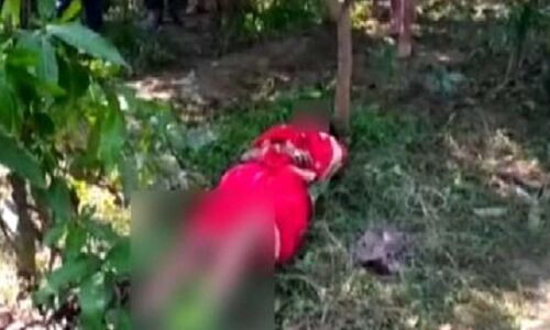 मोबाइल चार्जर से गला घोंटकर महिला की हत्या, बगीचे में मिली लाश