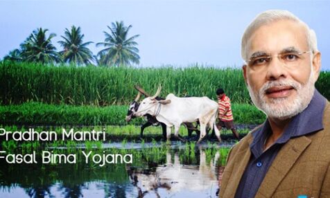 किसान के नाम पर बीमा कम्पनियां हो रही मालामाल: एनएपीएम किसान के नाम पर बीमा कम्पनियां हो रही मालामाल: एनएपीएम