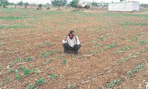 ओडिशा में किसानों ने उठाया बड़ा कदम, 6 किसानों ने की आत्महत्या