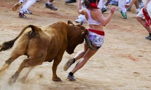 देखें वीडियो जब सांड ने घेरी ये युवती फिर क्या हुआ