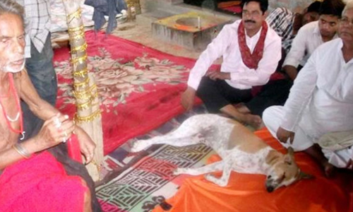 पगला बाबा ने दिया था श्राप, लालू तुझे घमंड है...तू मिट्टी में मिल जाएगा!