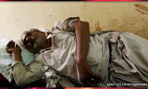 पीलीभीत : अमरिया कस्वे में दो गुटो में जमकर चलें लाठी डंडे, कई लोग घायल पीलीभीत : अमरिया कस्वे में दो गुटो में जमकर चलें लाठी डंडे, कई लोग घायल