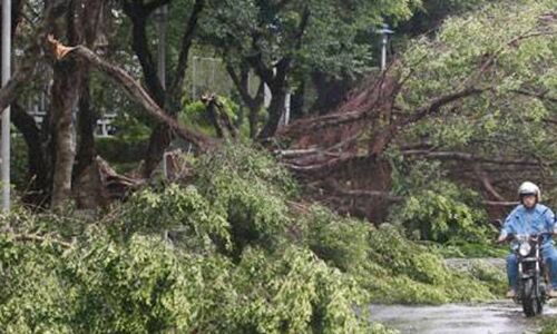 बिहार के कई जिलों में तेज बारिश और आंधी,  15 लोगों की मौत
