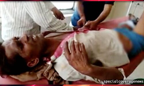 पीलीभीत : खेत पर काम कर रहे किसान पर भालू ने किया हमला, अस्पताल में भर्ती पीलीभीत : खेत पर काम कर रहे किसान पर भालू ने किया हमला, अस्पताल में भर्ती