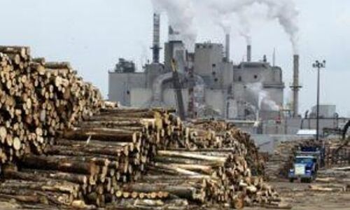 पांच मार्च तक रहेगी पेपर मिल बंद, आयातित वेस्ट पेपर के दामों में हुई वृद्धि बनी बंदी का कारण पांच मार्च तक रहेगी पेपर मिल बंद, आयातित वेस्ट पेपर के दामों में हुई वृद्धि बनी बंदी का कारण