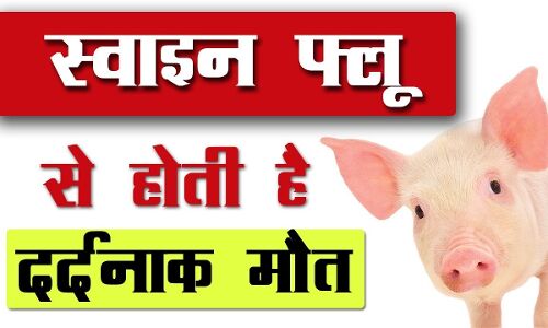 राजस्थान में स्वाइन फ्लू का कहर, दो महीने में 88 मौत, एक विधायक भी चपेट में आये