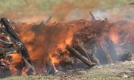 झारखंड: लावारिस 33 लाशों का सामूहिक अंतिम संस्कार