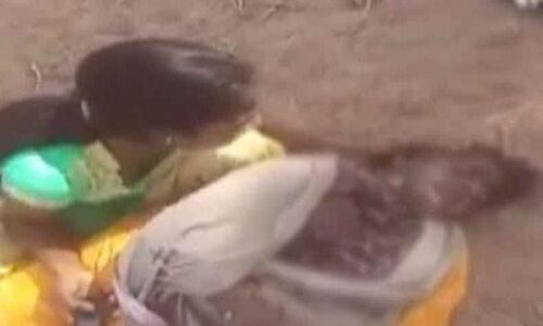 पेड़ काटने का विरोध करना लड़की को पड़ा भारी, जलाया जिंदा