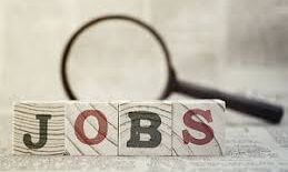 हरियाणा में प्यून के पदों पर जारी हुआ विज्ञापन 8 वी पास करे अप्लाई