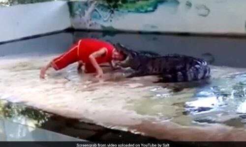 इस वीडियो को देखकर भाग खड़े होंगे आप, कमजोर दिल के लोग ना देखें