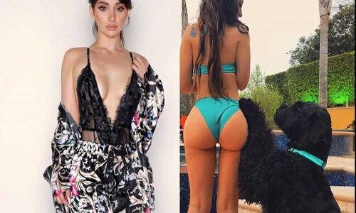 बेलगाम, बेजुबान आतंकियों से बचाओ !