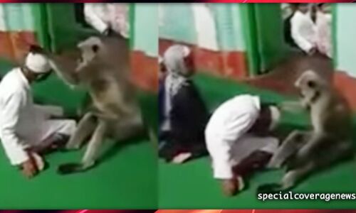 देखें वीडियो : जब मस्जिद में घुसे बजरंगबली!