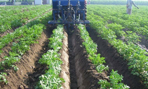 अब उपभोक्ता से सीधे जुड़ेंगे अन्नदाता, कमीशनखोरों से मिलेगी मुक्ति