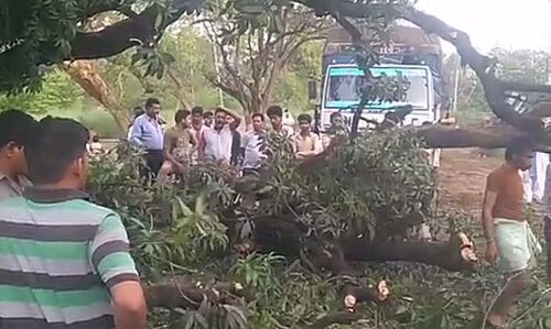 आजमगढ़ सुल्तानपुर नेशनल हाईवे पर पेड़ गिरने से 12 घंटे से जाम