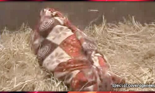 चंद रुपयों की खातिर कलयुगी बेटे ने सगी मां की गला काटकर की हत्या चंद रुपयों की खातिर कलयुगी बेटे ने सगी मां की गला काटकर की हत्या