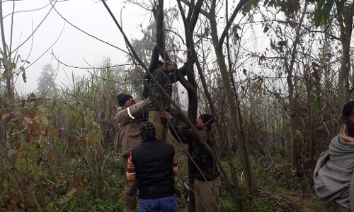 बिजनौर: पेड़ पर लटकी मिली 9वीं क्लास के छात्र की लाश, मचा हडकम्प बिजनौर: पेड़ पर लटकी मिली 9वीं क्लास के छात्र की लाश, मचा हडकम्प