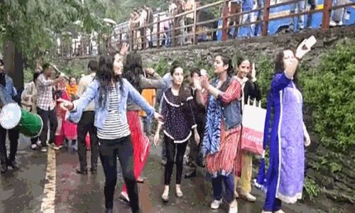 शिमला नगर निगम में बीजेपी ने 17 तो कांग्रेस जीती 12 सीट, मेयर पर फंसेगा पेच