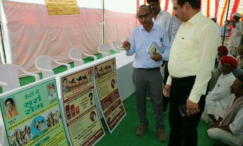 प्रदेश में पहली बार पशुपालक जागरूकता शिविर में हुई 250 ऊँटों की टेगिंग प्रदेश में पहली बार पशुपालक जागरूकता शिविर में हुई 250 ऊँटों की टेगिंग