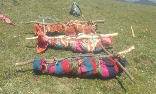 हिमाचल घूमने आए सैलानियों पर बरपा कहर, 3 की दर्दनाक मौत