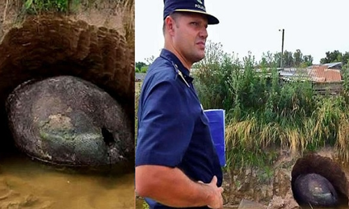 एक किसान को खेत में मिला विशालकाय अंडा, सोचा की होगा डायनासोर लेकिन निकला...