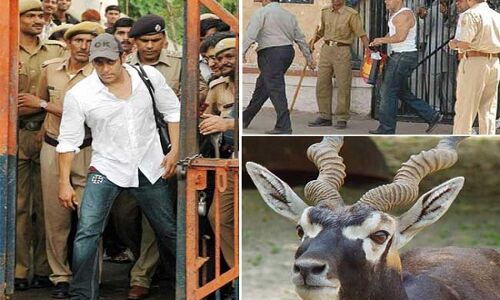 काला हिरण शिकार मामला: सलमान, सैफ, सोनाली और तब्बू को कोर्ट ने पेश होने का दिया आदेश