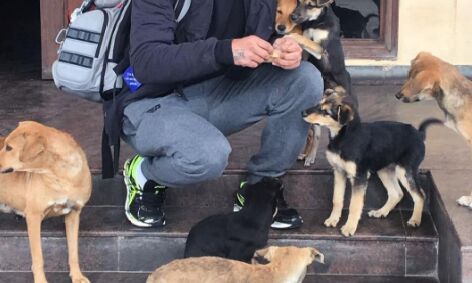 क्रिकेटर हरभजन सिंह को कुत्तों को पकौड़े खिलाना पड़ा महंगा!