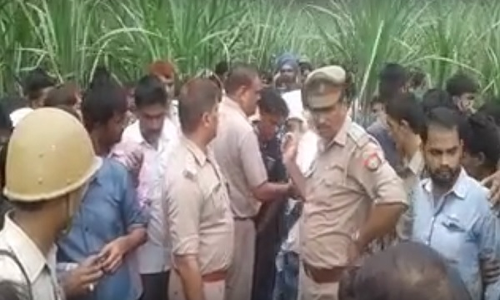 पीलीभीत में बाघ का आतंक, खेत में काम कर रहे किसान को बनाया निवाला पीलीभीत में बाघ का आतंक, खेत में काम कर रहे किसान को बनाया निवाला