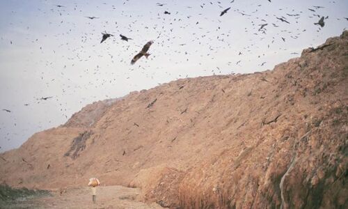 Ghazipur land fill: गाजीपुर स्थित कूड़े के पहाड़ पर बार-बार लगी आग भाजपा शासित नगर निगमों की भारी चूक और भ्रष्टाचार -चौ. अनिल कुमार Ghazipur land fill: गाजीपुर स्थित कूड़े के पहाड़ पर बार-बार लगी आग भाजपा शासित नगर निगमों की भारी चूक और भ्रष्टाचार -चौ. अनिल कुमार