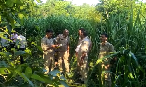 शाम को घर से गायब नावालिग़ का शव गन्ने के खेत में पेड़ से लटका मिला, परिजनों ने जताई रेप के बाद हत्या की आशंका शाम को घर से गायब नावालिग़ का शव गन्ने के खेत में पेड़ से लटका मिला, परिजनों ने जताई रेप के बाद हत्या की आशंका