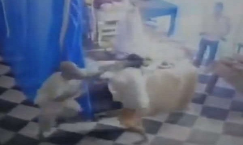 मथुरा के राधारानी मंदिर में दो साधुओं के बीच जमकर हुई मारपीट, वीडियो वायरल मथुरा के राधारानी मंदिर में दो साधुओं के बीच जमकर हुई मारपीट, वीडियो वायरल