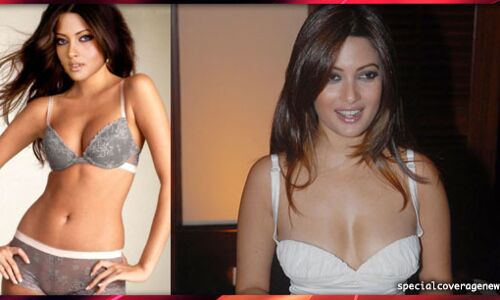 OMG.. जब सरेआम ये एक्ट्रेस वेटर से कर बैठी सेक्स की डिमांड, फिर जो हुआ..... OMG.. जब सरेआम ये एक्ट्रेस वेटर से कर बैठी सेक्स की डिमांड, फिर जो हुआ.....