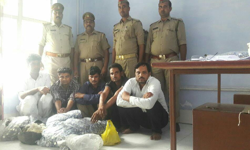 एटा : पांच शराब तस्कर 20 पेटी अवैध शराब के साथ गिरफ्तार एटा : पांच शराब तस्कर 20 पेटी अवैध शराब के साथ गिरफ्तार