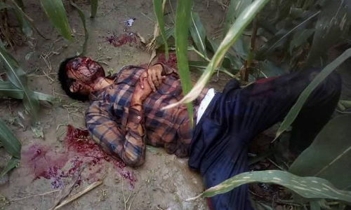 मक्के के खेत मे मिला घायल सिपाही, गोली मारे जाने की आशंका मक्के के खेत मे मिला घायल सिपाही, गोली मारे जाने की आशंका