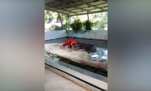 चिड़ियाघर कर्मचारी ने घड़ियाल के मुंह में डाला अपना सर, इसके बाद जो हुआ उसे देख सभी रह गए दंग, देखे वीडियो