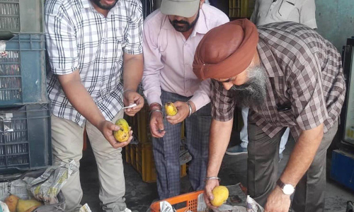 पंजाब के सरहदी शहरों में बिक रहे फलों पर कैमिकल अटैक मानव अंगों को खतरा फल विक्रेताओं पर छापे पंजाब के सरहदी शहरों में बिक रहे फलों पर कैमिकल अटैक मानव अंगों को खतरा फल विक्रेताओं पर छापे