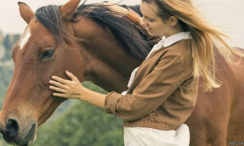 इस महिला की मौत हुई घोड़े से सेक्स के दौरान, जानकर पूरी घटना उड़ जायेंगे होश!