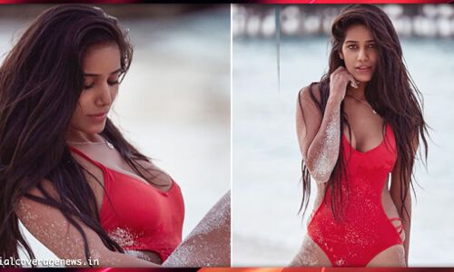 पूनम पांडेय के इस हॉट फोटोशूट ने मचाया धमाल, तस्वीरें वायरल