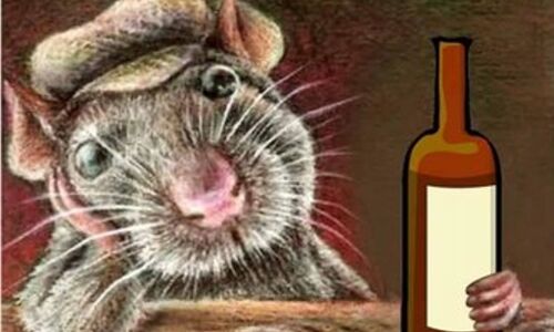 OMG! 9 लाख लीटर शराब एक झटके में चट कर गए चूहे