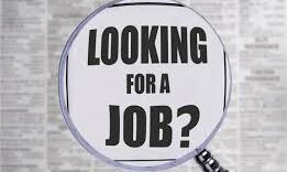 क्या सरकारी कर्मचारियों की संख्या कम करना शानदार उपलब्धि है?