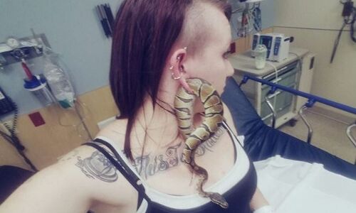 सांप के साथ सेल्फी पड़ी महंगी, कान के छेद में घुसा सांप पहुंची अस्पताल