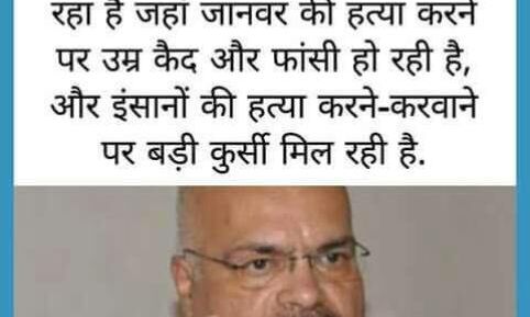 जिस देश में गौहत्या पर फांसी तो इंसान की हत्या पर मिलती है कुर्सी !