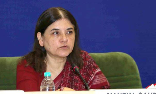 मेनका गांधी ने टाइगर रिजर्व को दिए 15 लाख, कहा- पीलीभीत का विकास मेरी प्राथमिकता मेनका गांधी ने टाइगर रिजर्व को दिए 15 लाख, कहा- पीलीभीत का विकास मेरी प्राथमिकता