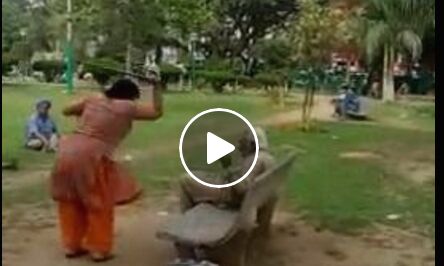 इस दुष्ट महिला को पहचानने में मदद करें, जिसने इस बुजुर्ग को बुरी तरह पीटा देखें वीडियो