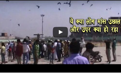 मुरादाबाद में मीट कारोबारियों ने कर डाली नीच हरकत, एसएसपी ने किया मुकद्दमा दर्ज