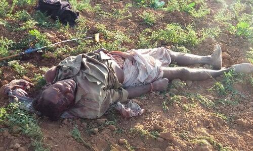 बेटे ने पिता की कुल्हाड़ी से गर्दन काट उतार दिया मौत के घाट