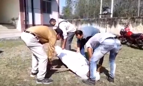 किस तरह यूपी के पीलीभीत में होती शवों की दुर्दशा, जानकर उड़ गये होश किस तरह यूपी के पीलीभीत में होती शवों की दुर्दशा, जानकर उड़ गये होश