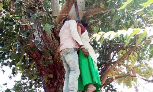 मर्जी के खिलाफ की शादी, पेड़ पर लटके मिले दोनों!