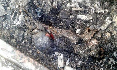 चलती बस बनी आग का गोला,  मां-बेटी जिंदा जलीं