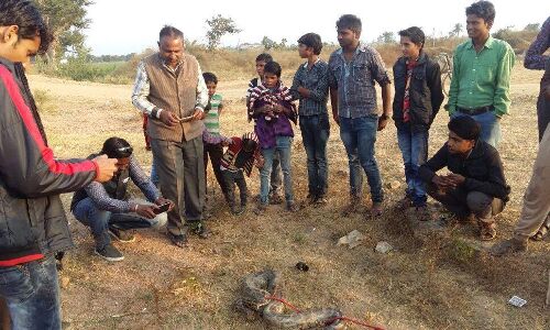 भयानक! अजगर को बांध कर घसीटते बच्चों को देख चौक गए लोग भयानक! अजगर को बांध कर घसीटते बच्चों को देख चौक गए लोग