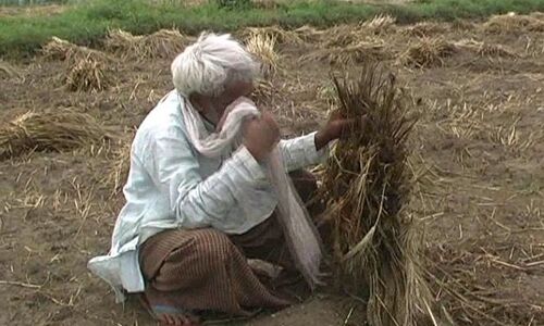 किसानों की कर्ज माफी समस्या का हल है क्या? किसानों की कर्ज माफी समस्या का हल है क्या?